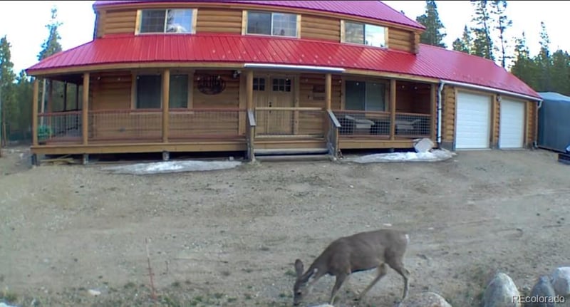 550 Cedar Dr, Leadville, CO 80461