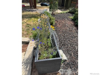 1250 Saint Vrain Ave #11, Estes Park, CO 80517