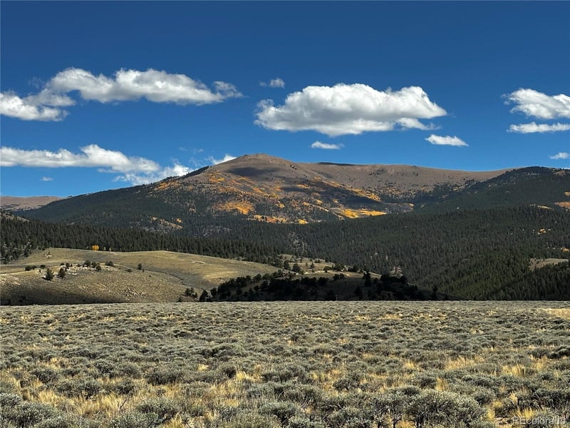 Parcel 14 Tract 7, Twin Lakes, CO 81251