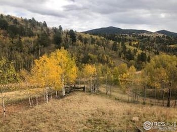 499 Granite Ln, Cripple Creek, CO 80813