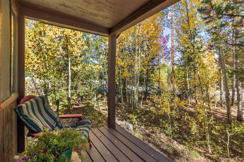 1239 Gcr 49 , Grand Lake, CO 80447
