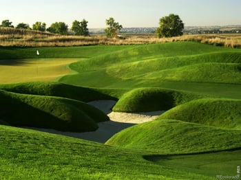 6739 Morning Song Ct, Timnath, CO 80547