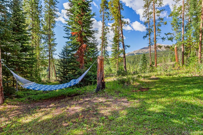 322 Slalom Dr, Breckenridge, CO 80424
