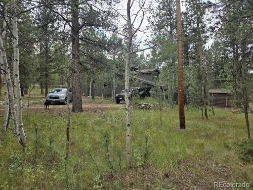 131 Hitchrack Rd, Bailey, CO 80421