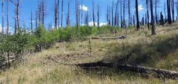 Lot 1064 Reed Ln, Fort Garland, CO 81133