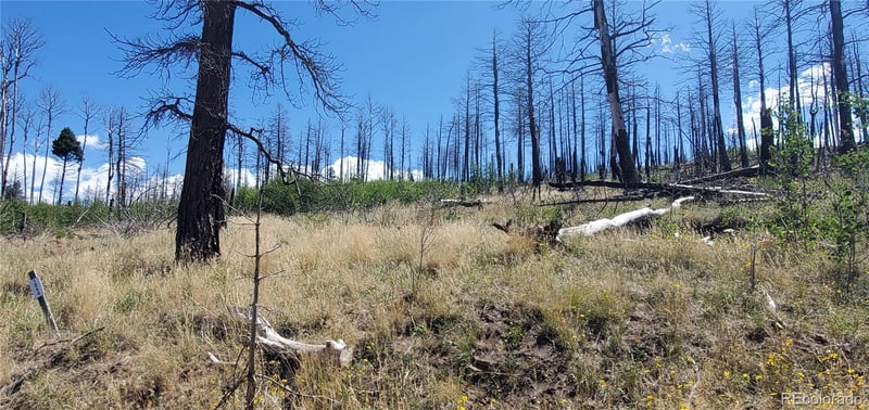 Lot 1064 Reed Ln Lot 1064, Fort Garland, CO 81133