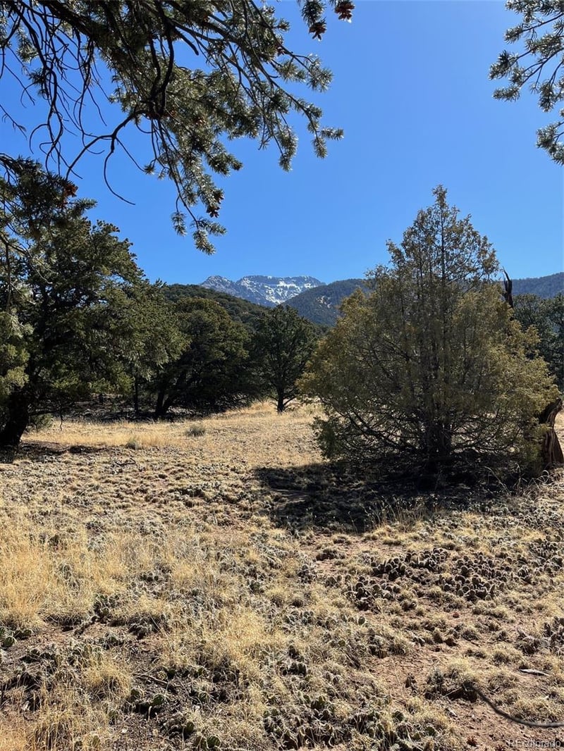 1718 Willow Creek Way, Crestone, CO 81131