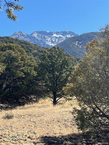 1718 Willow Creek Way, Crestone, CO 81131