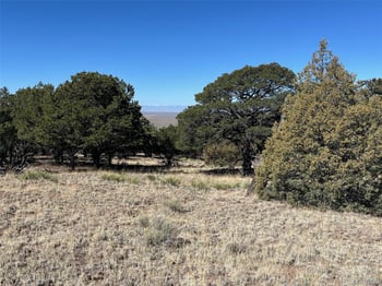 1718 Willow Creek Way, Crestone, CO 81131