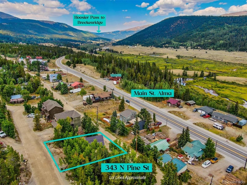 343 N Pine St, Alma, CO 80420