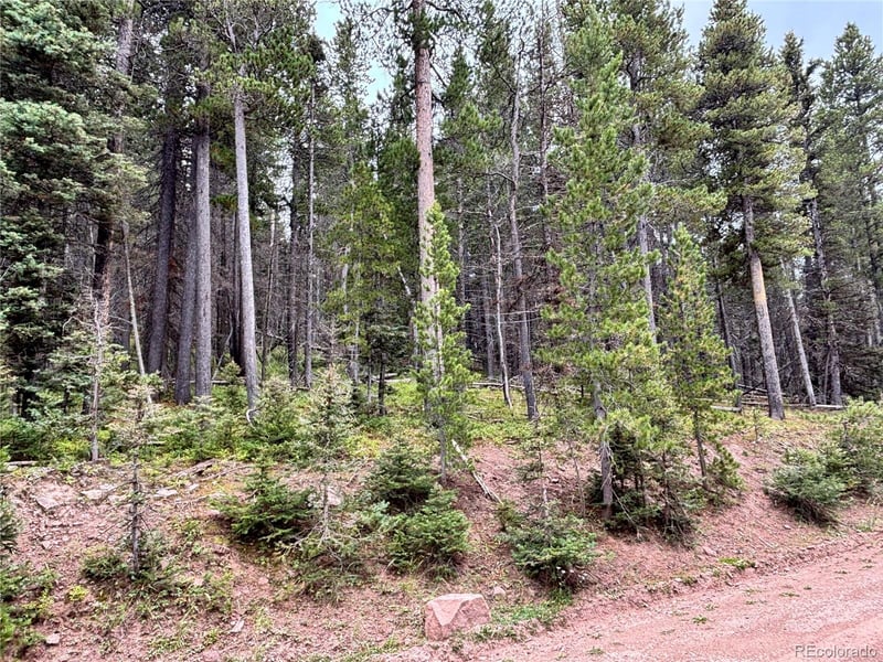 00 Moir Dr, Fort Garland, CO 81133