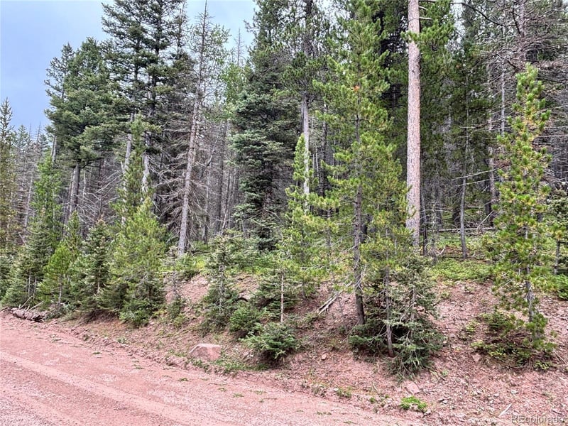 00 Moir Dr, Fort Garland, CO 81133