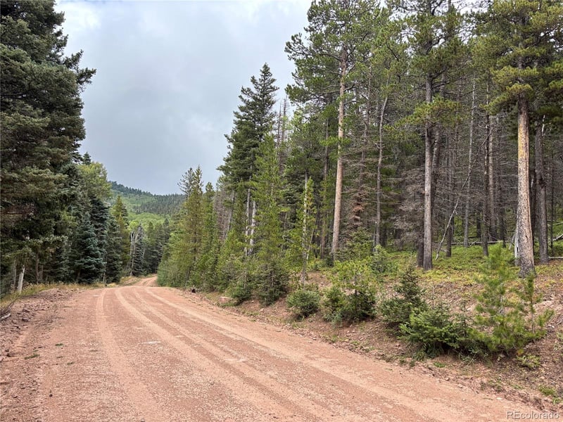 00 Moir Dr, Fort Garland, CO 81133