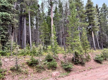 00 Moir Dr, Fort Garland, CO 81133