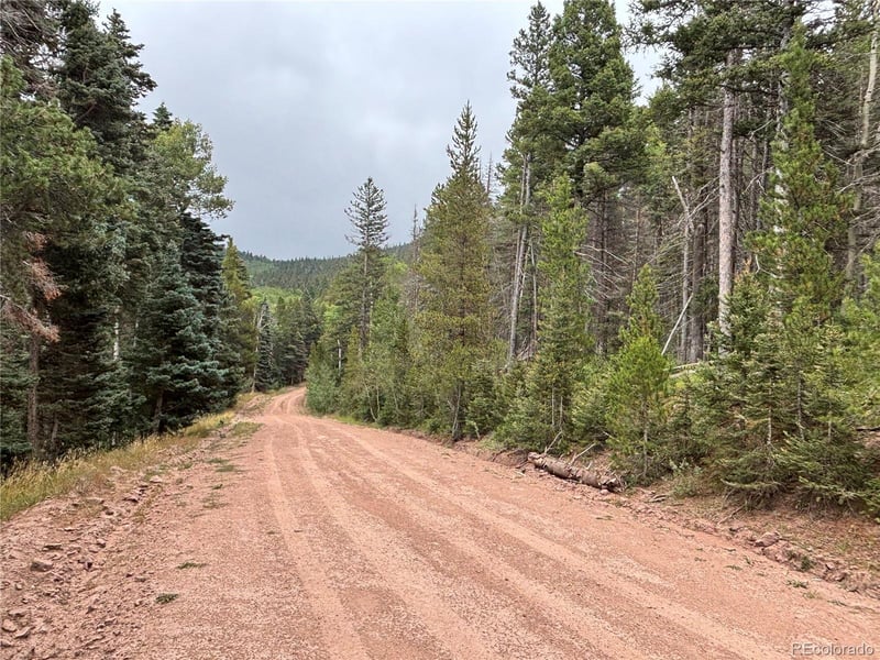 00 Moir Dr, Fort Garland, CO 81133