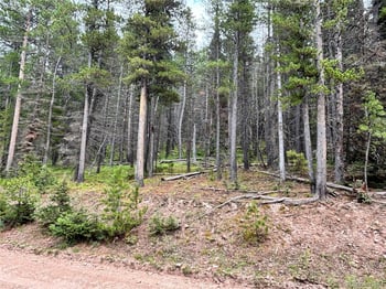 00 Moir Dr, Fort Garland, CO 81133