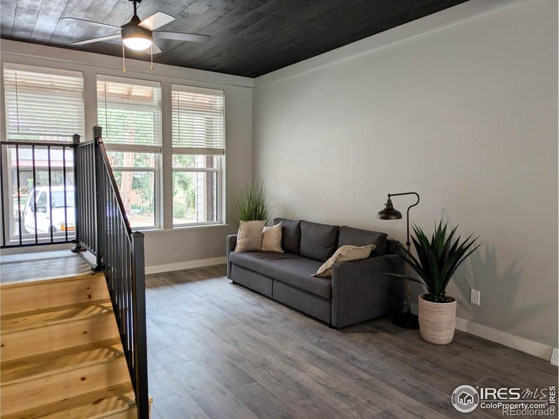 710 Mcmillen Way, Nederland, CO 80466