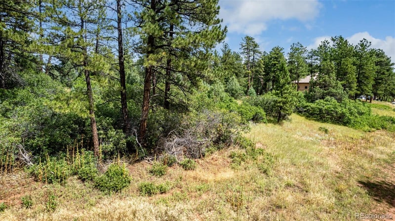 8160 Bannock Dr Lot 10, Larkspur, CO 80118