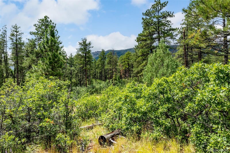 8160 Bannock Dr Lot 10, Larkspur, CO 80118