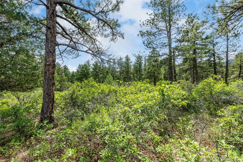 8160 Bannock Dr Lot 10, Larkspur, CO 80118