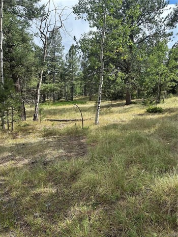 17 and 33 Deer Ridge Trl, Florissant, CO 80816