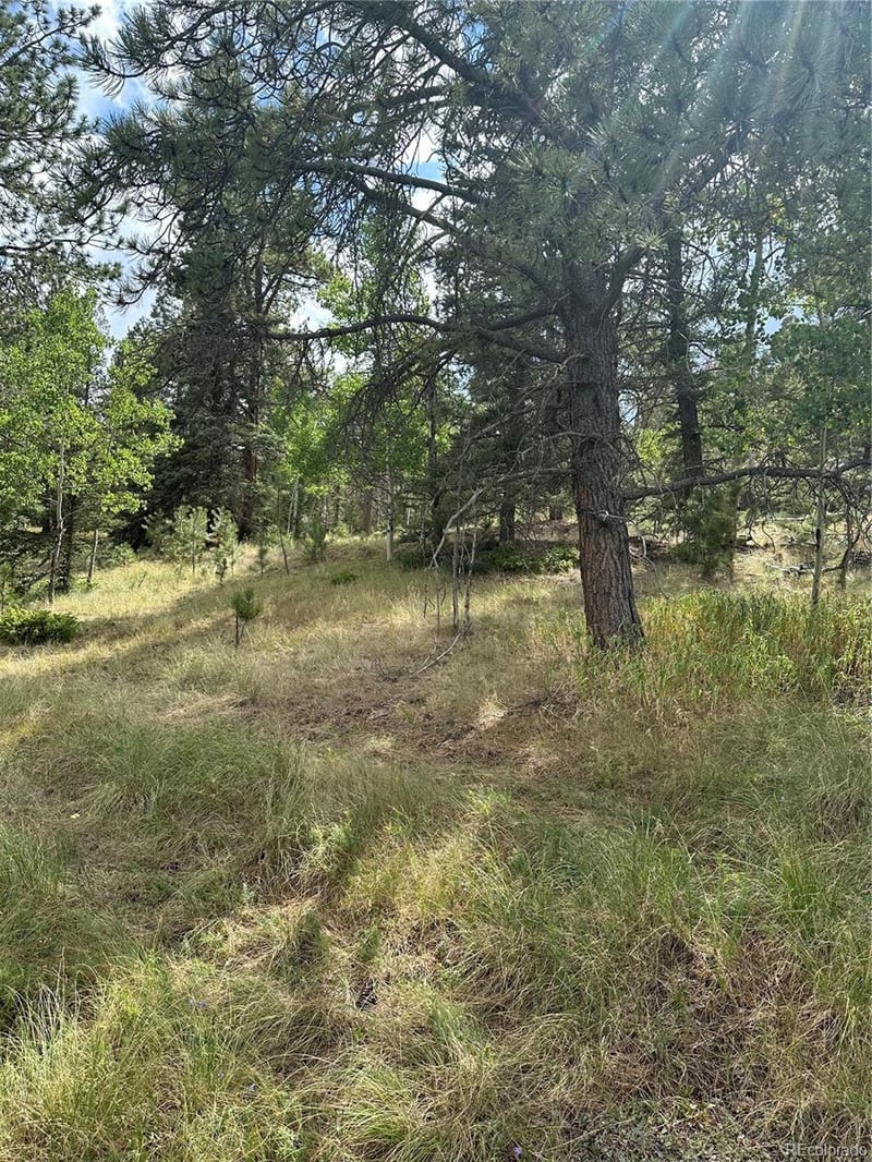 17 and 33 Deer Ridge Trl, Florissant, CO 80816