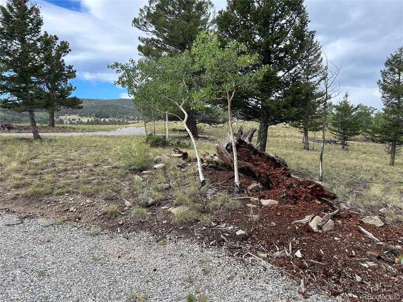 3826 Singletree Rd, Hartsel, CO 80449