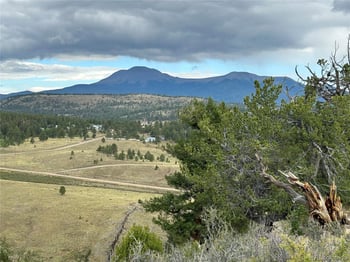 3826 Singletree Rd, Hartsel, CO 80449