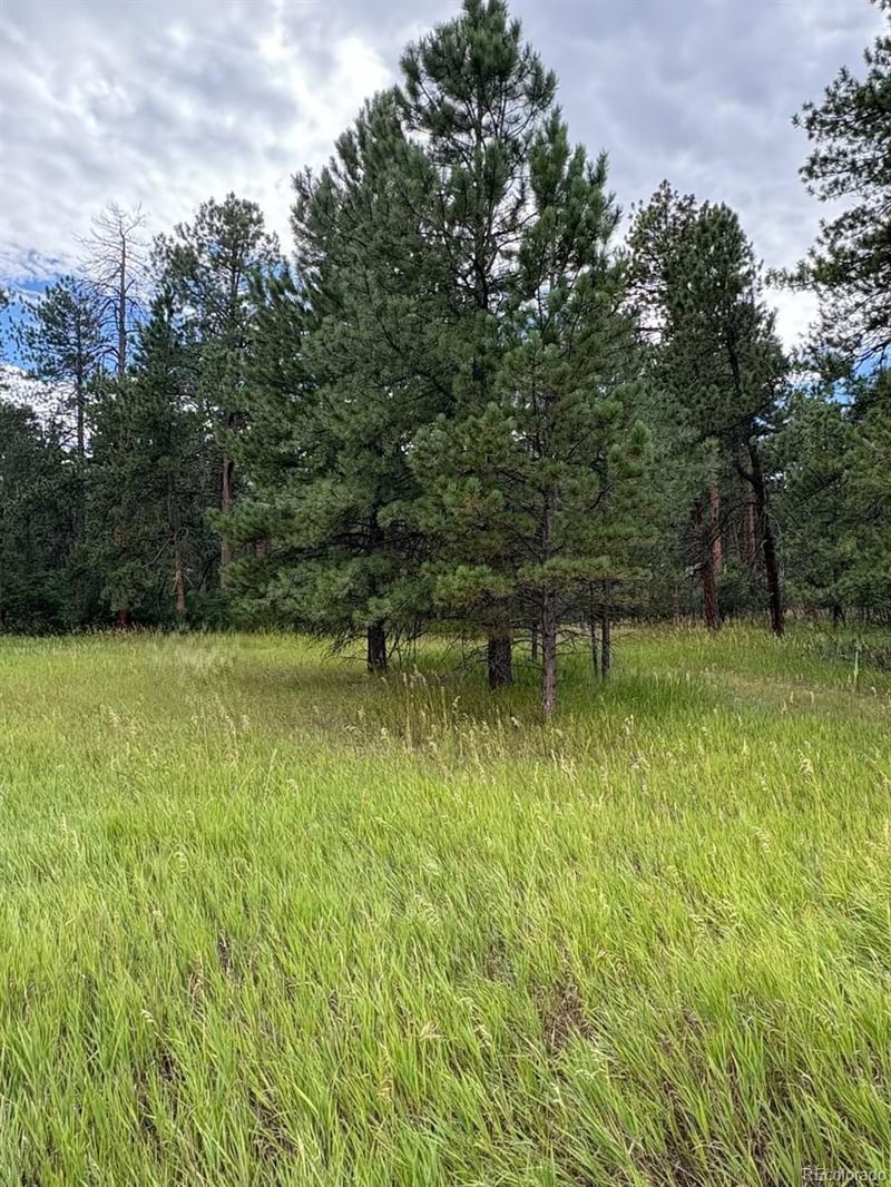 5028 Crow Dr, Larkspur, CO 80118