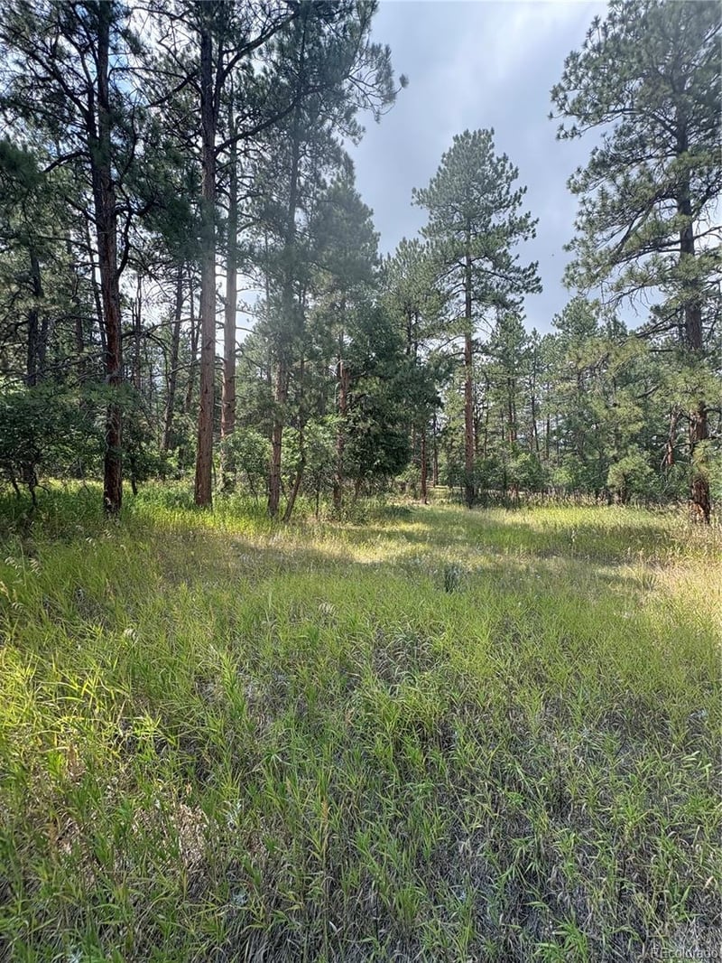 5028 Crow Dr, Larkspur, CO 80118