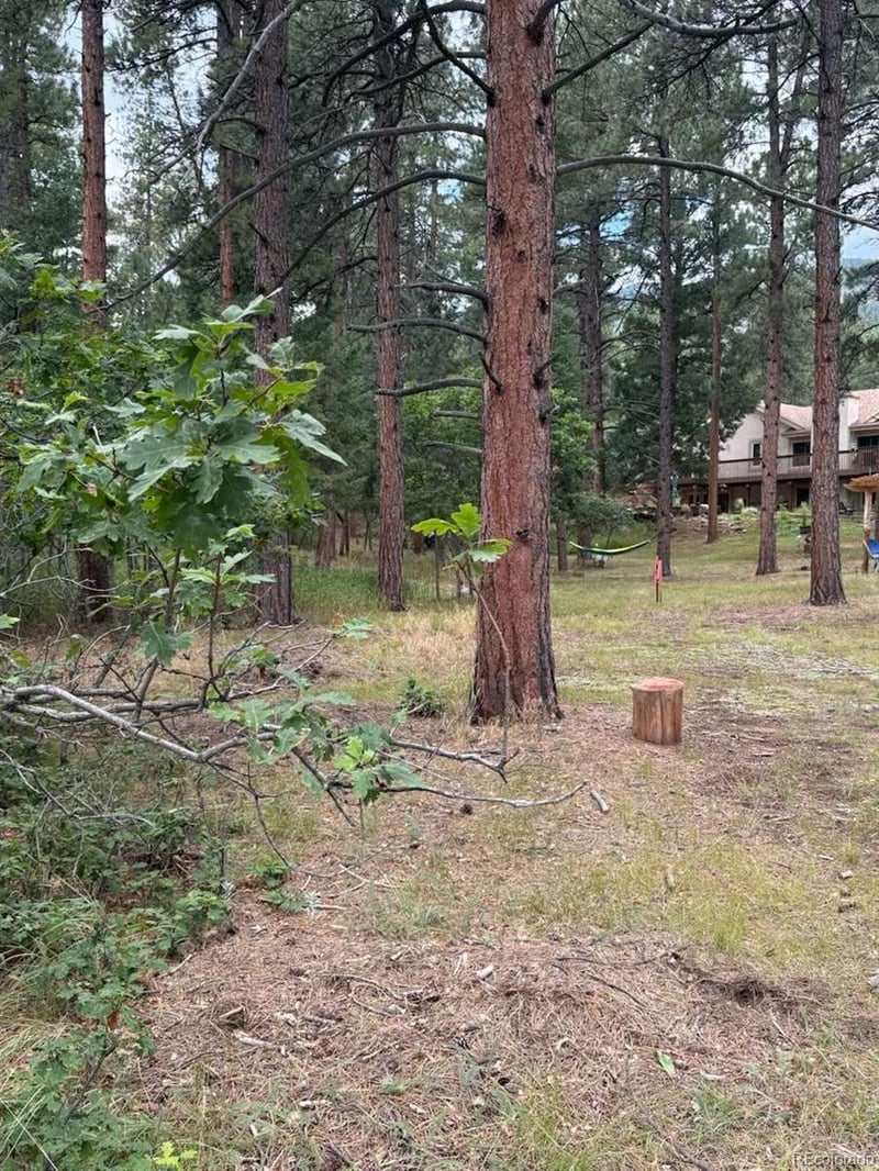 5028 Crow Dr, Larkspur, CO 80118