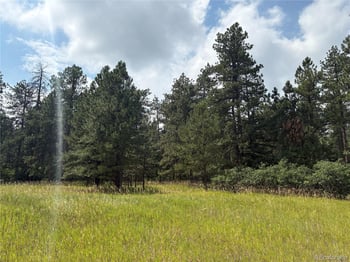 5028 Crow Dr, Larkspur, CO 80118