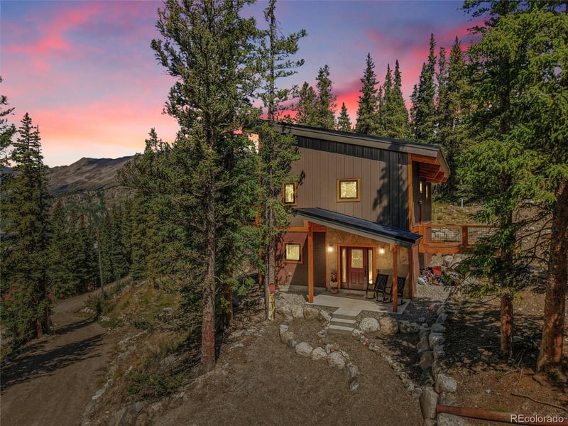 116 Goldfinch Pl, Alma, CO 80420