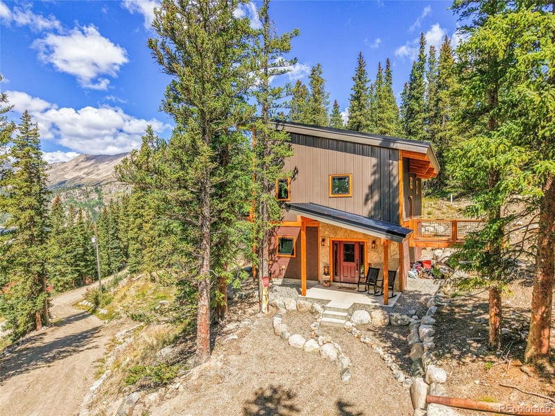 116 Goldfinch Pl, Alma, CO 80420