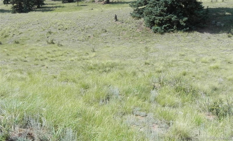 53 Nickel Plate Rd, Cripple Creek, CO 80813
