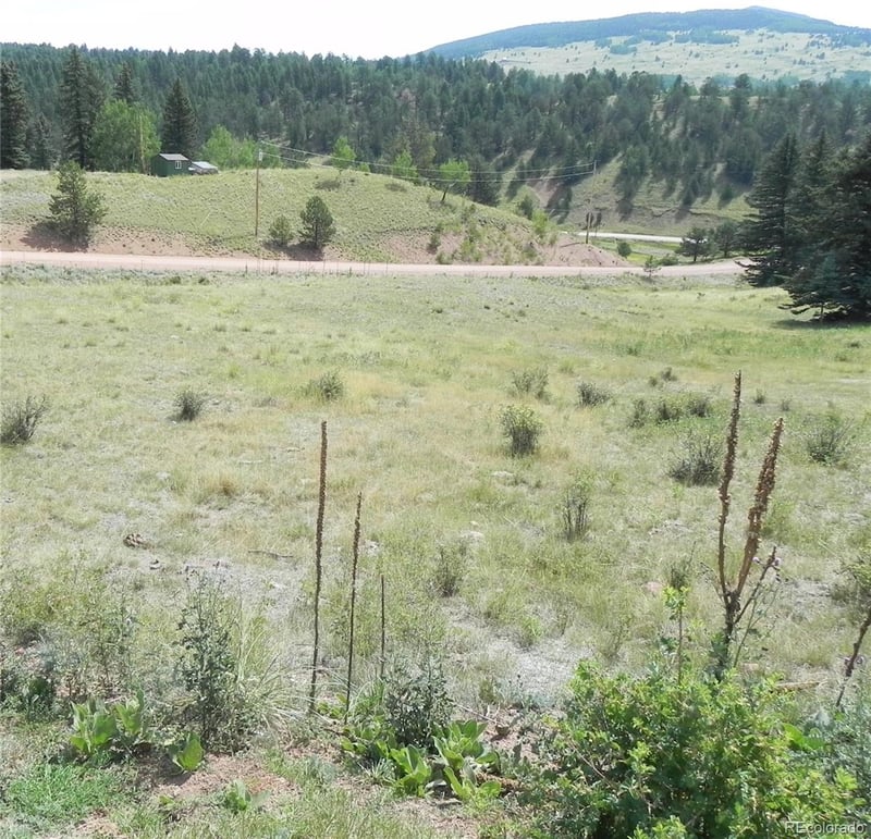 53 Nickel Plate Rd, Cripple Creek, CO 80813