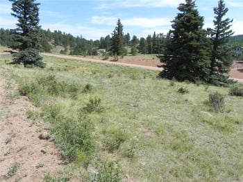 53 Nickel Plate Rd, Cripple Creek, CO 80813