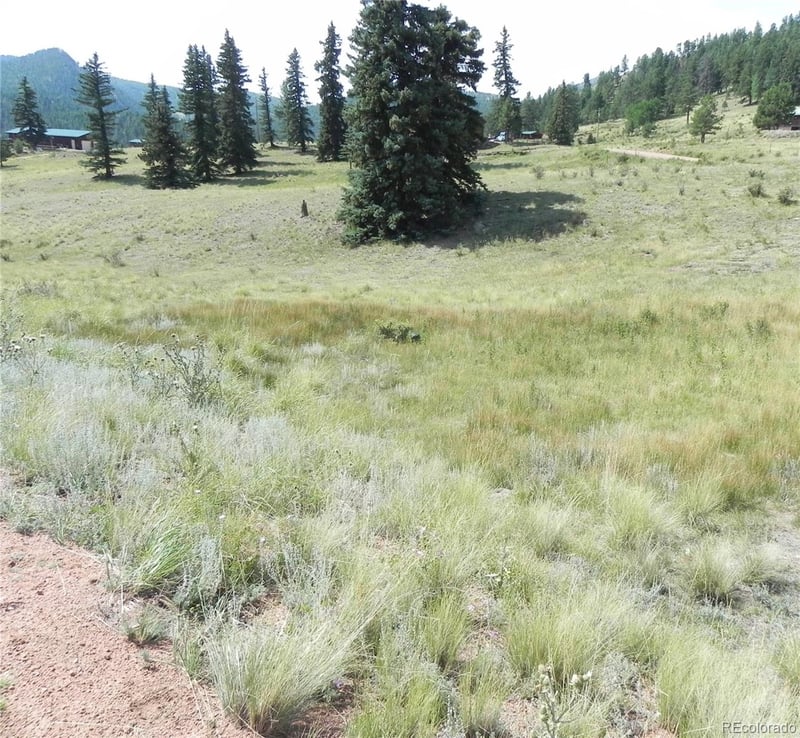 53 Nickel Plate Rd, Cripple Creek, CO 80813