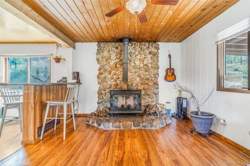 145 Bailey Dr, Bailey, CO 80421