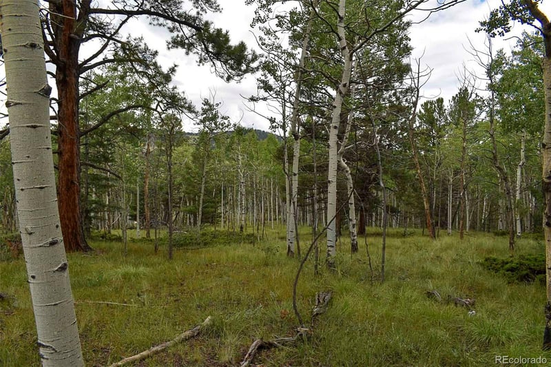 205 Timberline Dr, Guffey, CO 80820