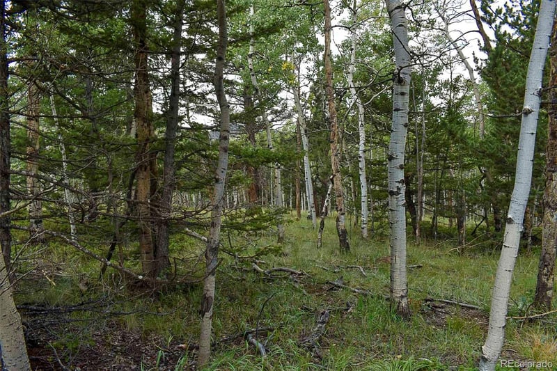 205 Timberline Dr, Guffey, CO 80820