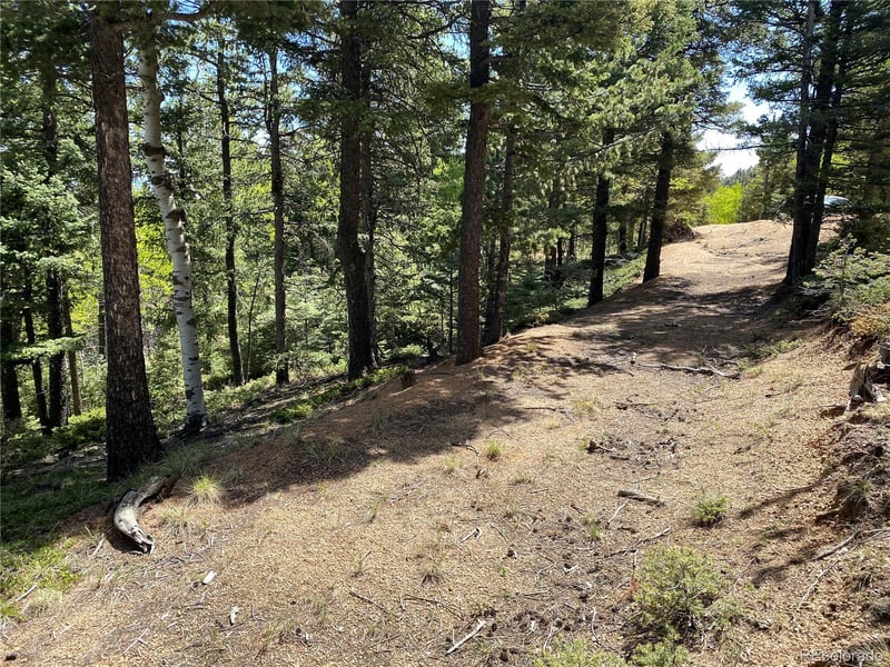 210 Waterfall Loop, Manitou Springs, CO 80829