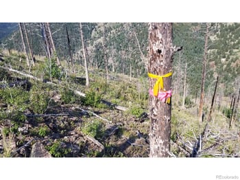 Gold Trl, Boulder, CO 80302