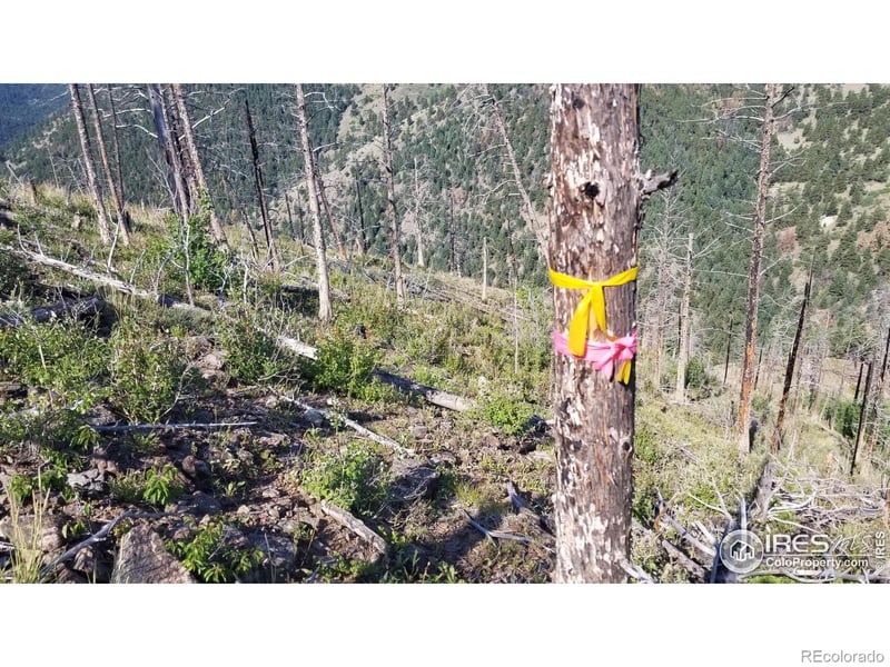 0 Gold Trl, Boulder, CO 80302