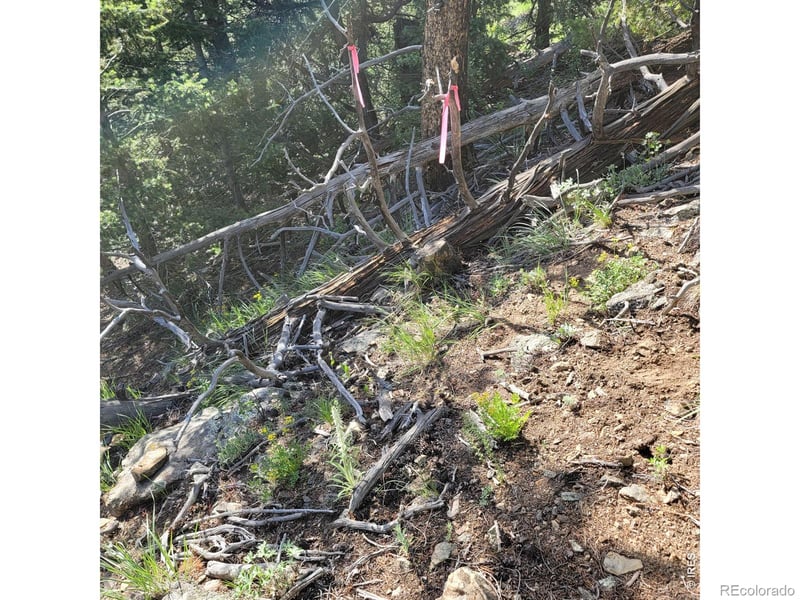 0 Gold Trl, Boulder, CO 80302