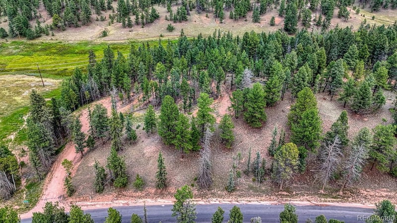 18 Falcon Cir, Florissant, CO 80816