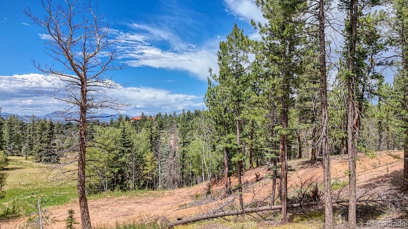 18 Falcon Cir, Florissant, CO 80816