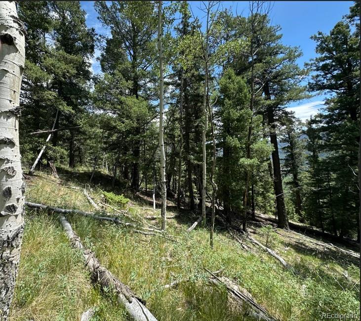 Tbd Calkins, Jasper, CO 81146