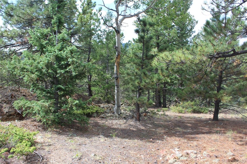 000 Golconda Mine Rd Lot 1020, Central City, CO 80427