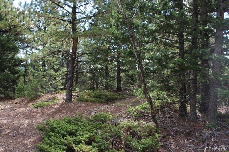 000 Golconda Mine Rd Lot 1020, Central City, CO 80427